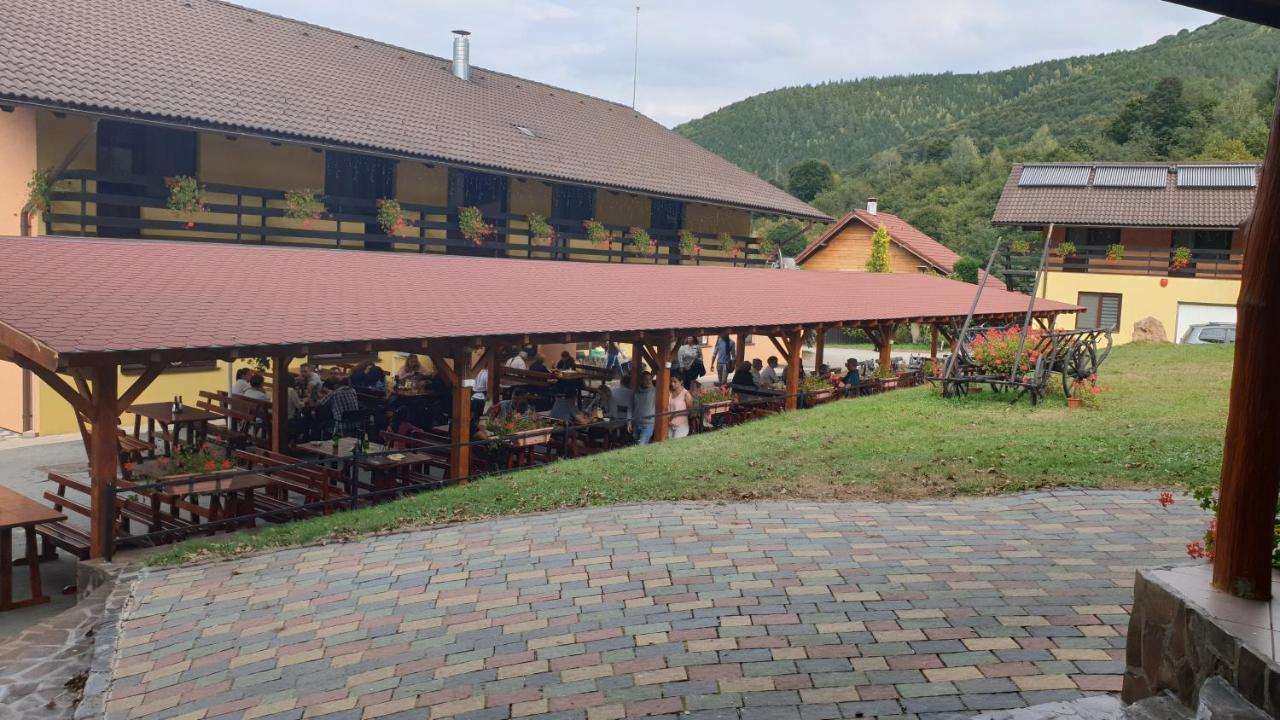 Pensiunea Rau Sadului Buitenkant foto