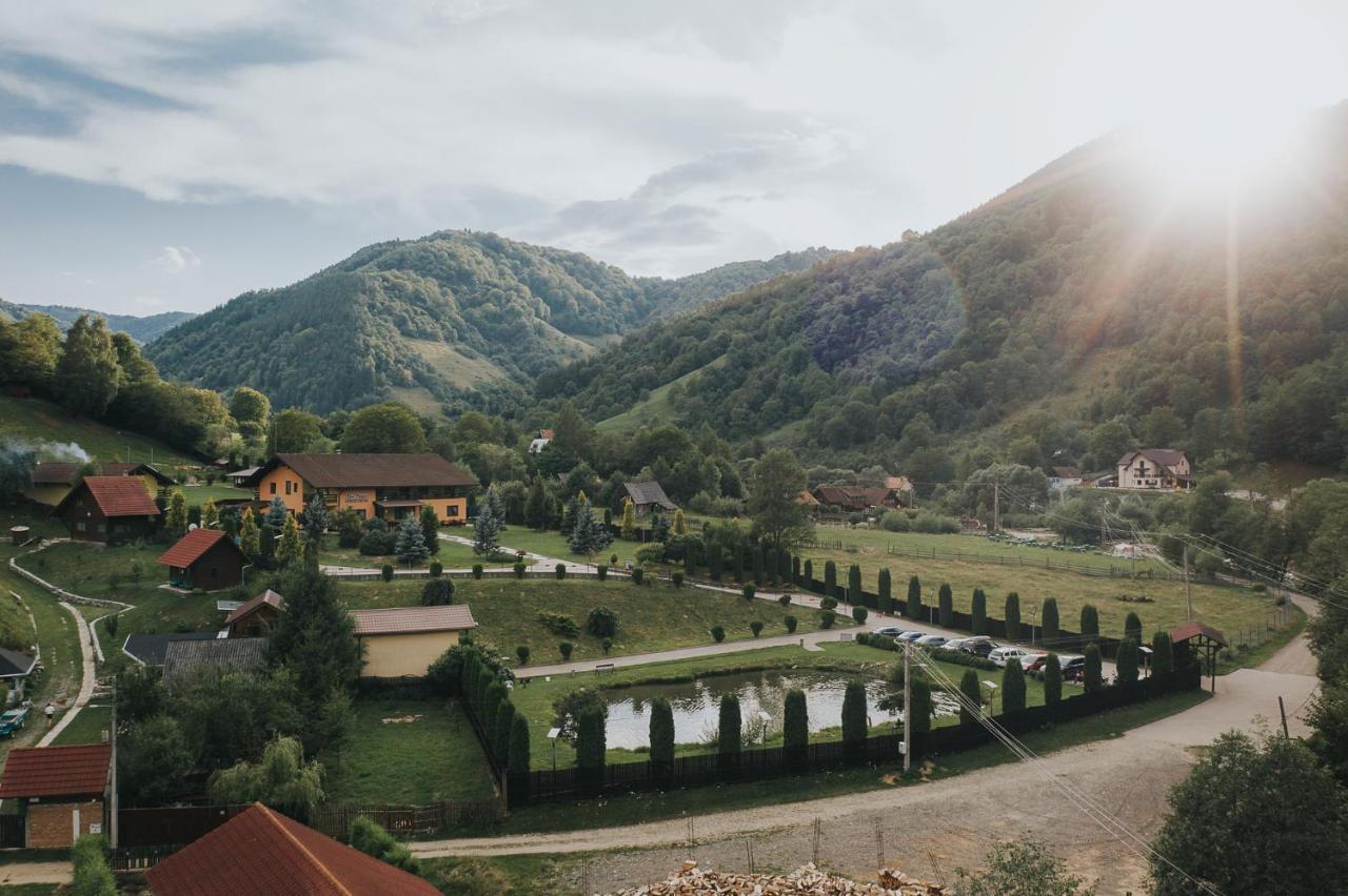 Pensiunea Rau Sadului Buitenkant foto