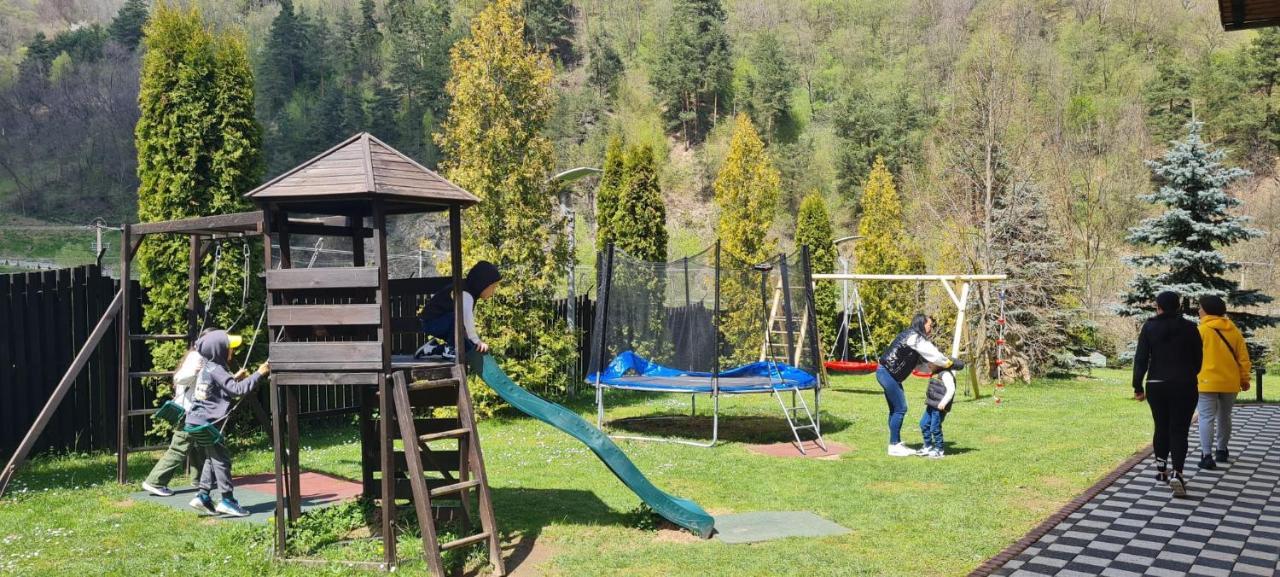 Pensiunea Rau Sadului Buitenkant foto